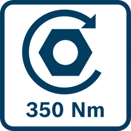  350 Nm