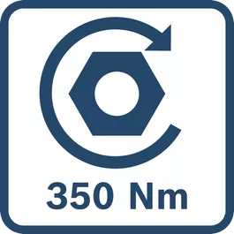  350 Nm