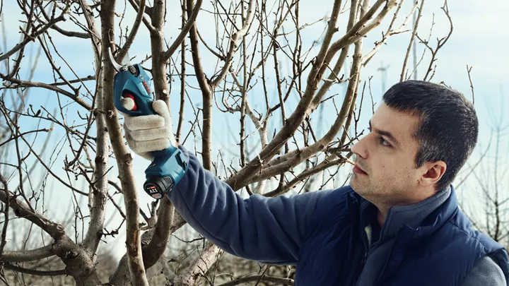 أداة Pro Pruner‏